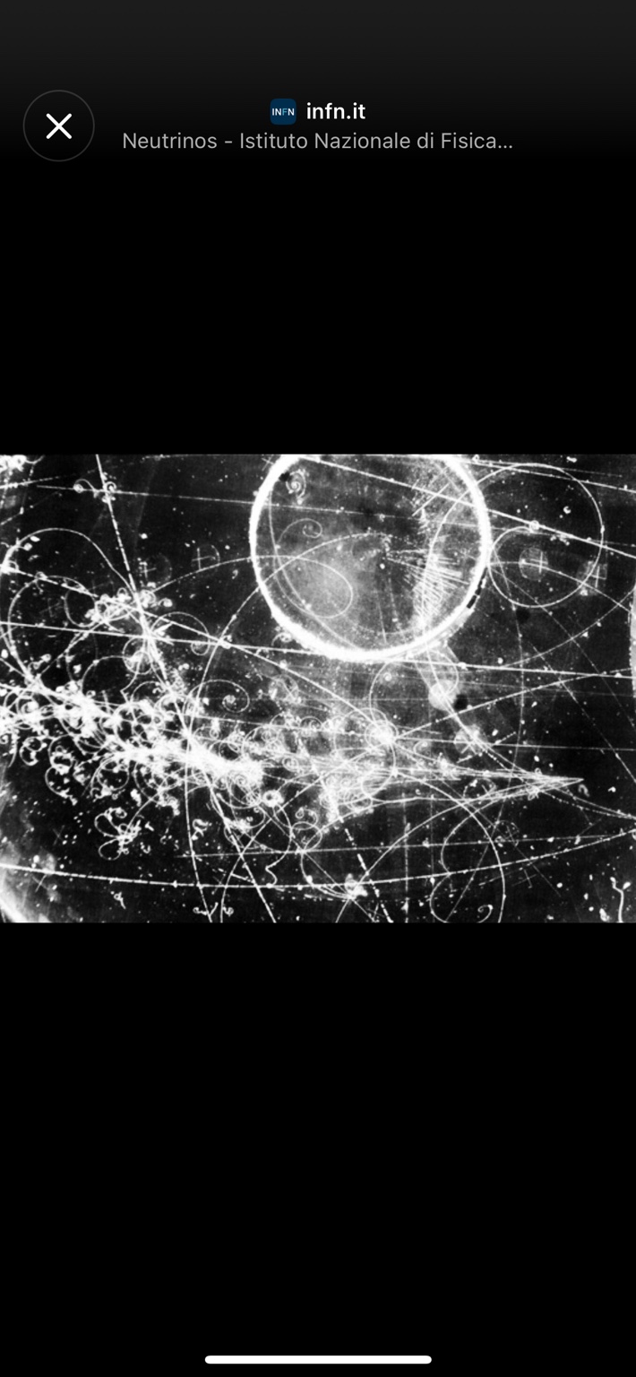 Particle-track reference showing looping traces, shared from an INFN page